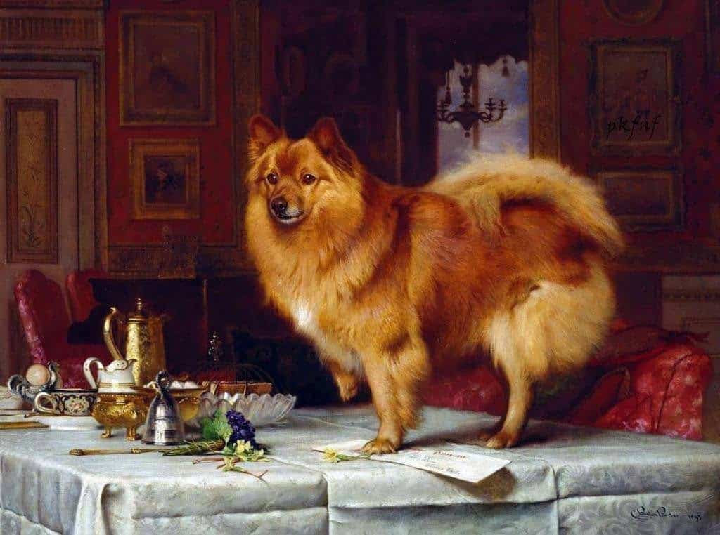 "Марко, нарисуван от кралския художник Чарлз Бъртон Барбър" - през 1893г.