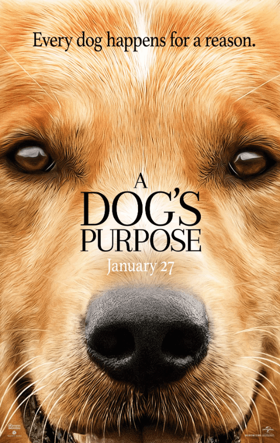 Кучешки живот - корица на филм